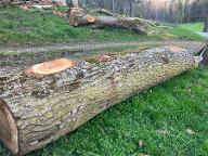 Rundholz Nuss 4mAstrein