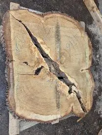 Holzprodukte Baumscheiben Eiche