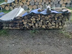 Brennholz Brennholz Buche