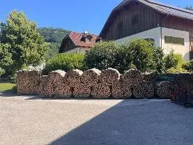 Brennholz Brennholz Esche, Ahorn