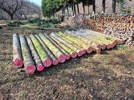 Rundholz Tanne Astrein Rohrbach bei Mattersburg