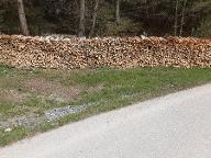 Brennholz Esche