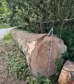 Rundholz Tanne Pettenbach