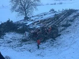 Rundholz Rundholz Fichte