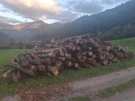 Rundholz Buche