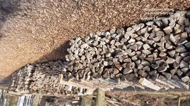 Brennholz Brennholz Buche