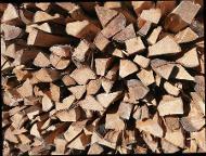 Brennholz Esche, Buche