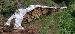 Brennholz Fichte, Kiefer, Buche Großteil Rundholz