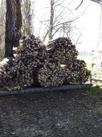 Brennholz Esche