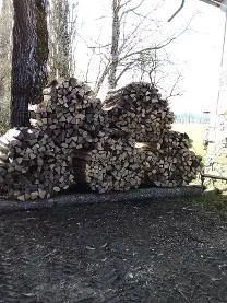 Brennholz Brennholz Esche