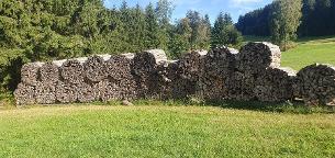Brennholz Esche