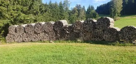 Brennholz Brennholz Esche