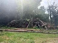Hackgut Hartholz (>90%) Ostermiething