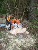 Dienstleistung Herbert (Sägewerk, sonstige forstliche Dienstleistung, Holzernte & Rückung, Jungwaldpflege, Forstbedarf, Brennholz: Produktion/Handel)