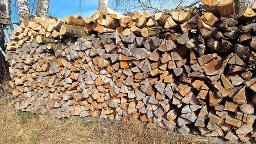 Brennholz Birke, Esche, Eiche