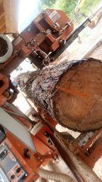 Dienstleistung Sägewerk Ritt (sonstige Holz-Dienstleistung)