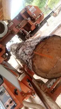 Dienstleistung Sägewerk Ritt