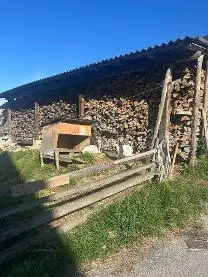 Brennholz Brennholz Fichte, Esche, Buche