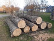 Rundholz Esche Gallspach