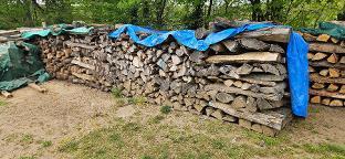 Brennholz Buche Gleisdorf