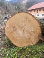 Rundholz Linde Großraming