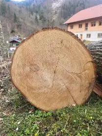 Rundholz Rundholz Linde