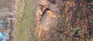 Rundholz Kirsche Heinade 