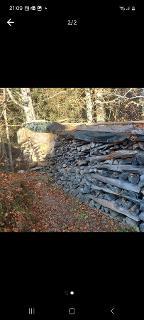 Brennholz Buche