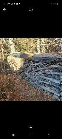 Brennholz Brennholz Buche