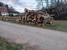 Rundholz Rundholz Sonstiges Holz Gemischtes Brennholz