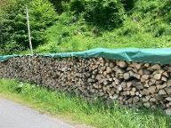 Brennholz Esche, Eiche, Buche