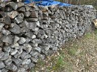 Brennholz Buche Mariasdorf 