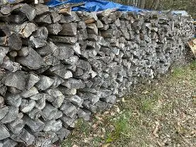Brennholz Brennholz Buche