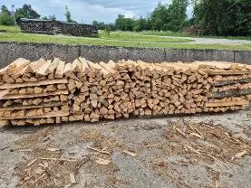 Brennholz Brennholz Esche