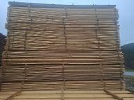 Schnittholz Kiefer Trocken, Qualität I-III Schönbach