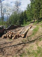 Rundholz Buche Puchberg am Schneeberg