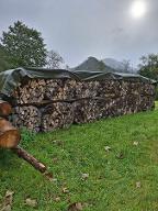 Brennholz Esche