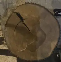 Holzprodukte Lindenscheibe
