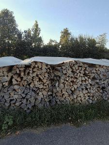 Brennholz Esche