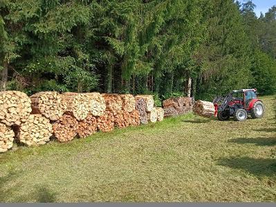 Eiche, Buche Brennholz Bündel