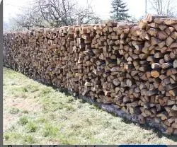 Brennholz Brennholz Buche Trocken