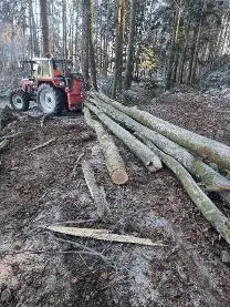 Brennholz Brennholz Esche, Eiche, Buche