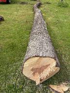 Rundholz Birne Kötschach-Mauthen