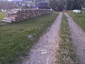 Brennholz Brennholz Buche