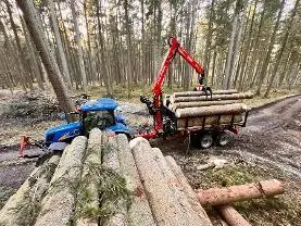 Dienstleistung Forstdienstleistung
