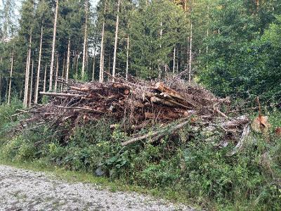 Hackschnitzel Hackgut Hart-/Weichholz gemischt