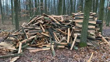 Brennholz Brennholz Eiche