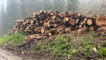Brennholz Brennholz Fichte, Lärche