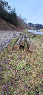 Rundholz Eiche Handenberg