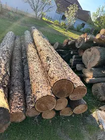 Rundholz Rundholz Lärche